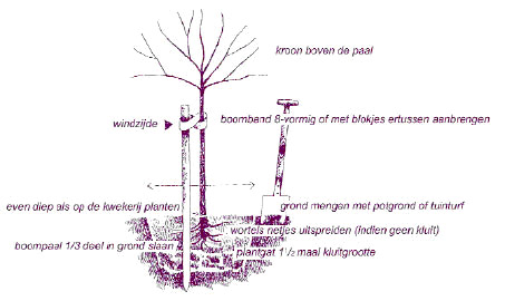 plantinstructies